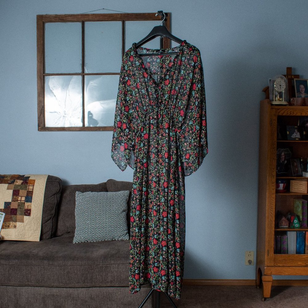 Sheer Long Sleeve Floral Dress with Cinched Waist